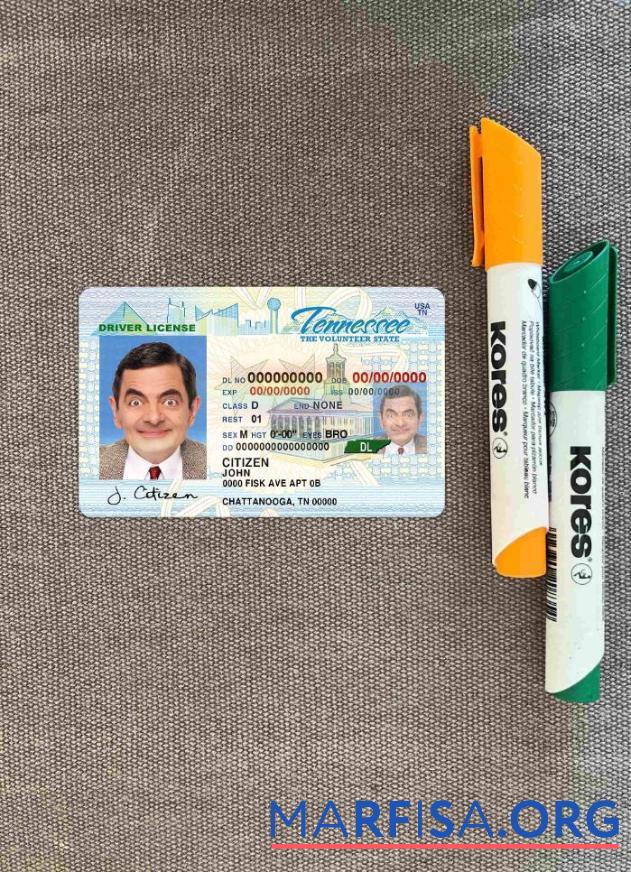 Blank USA Tennessee DL photolook template